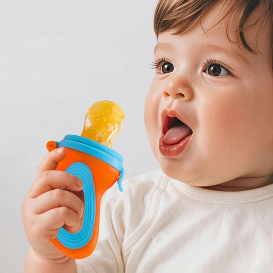 Infant Baby Food Fruit & Vegetable Feeder Pacifier with Medium Mesh Bag